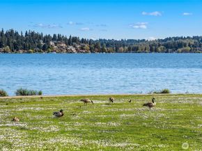 3834 NE 86th Street, Seattle WA 98115