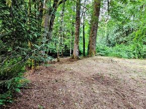 23618 SE Tiger Mountain Road, Issaquah WA 98027
