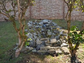 6108 133rd Place SW, Edmonds WA 98026