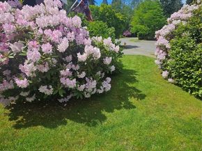6108 133rd Place SW, Edmonds WA 98026