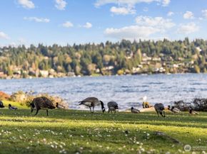 8411 48th Avenue S, Seattle WA 98118