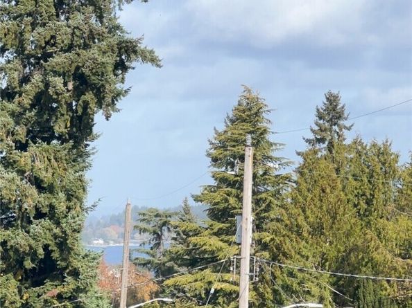 9739 57th Avenue S B, Seattle WA 98118