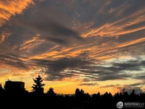 5615 24th Avenue NW 45, Seattle WA 98107