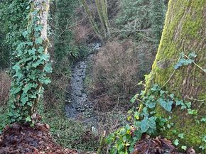 23453 16th Avenue S A304, Des Moines WA 98198