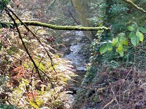 23453 16th Avenue S A304, Des Moines WA 98198