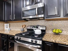 8821  Whitehead Street , McKinney Texas 75070