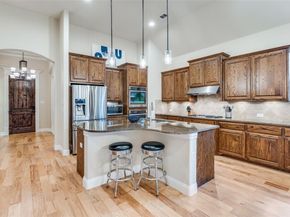 1007  Ivy Charm Way , Arlington Texas 76005