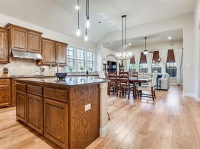 1007  Ivy Charm Way , Arlington Texas 76005