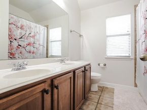 254  Cox Drive , Fate Texas 75087