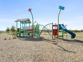 849  Blue Fescue Road , Fort Worth Texas 76247