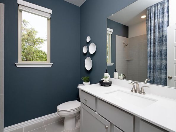 849  Blue Fescue Road , Fort Worth Texas 76247