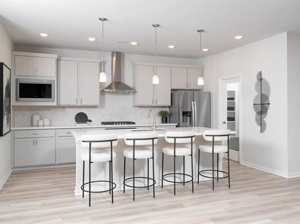 849  Blue Fescue Road , Fort Worth Texas 76247