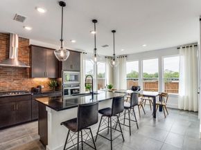 3908  Lynx Court , Little Elm Texas 75068
