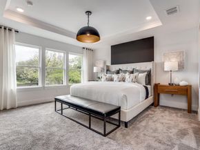 3908  Lynx Court , Little Elm Texas 75068