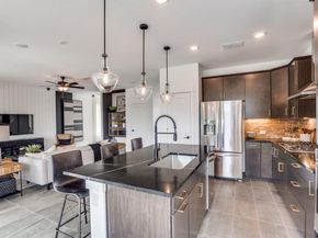 3908  Lynx Court , Little Elm Texas 75068