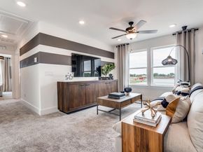 3908  Lynx Court , Little Elm Texas 75068