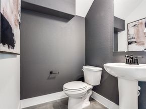 3908  Lynx Court , Little Elm Texas 75068