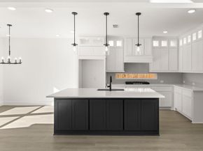 14032  Alfafar Court , Little Elm Texas 75068