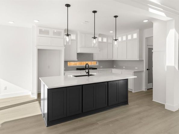 14032  Alfafar Court , Little Elm Texas 75068