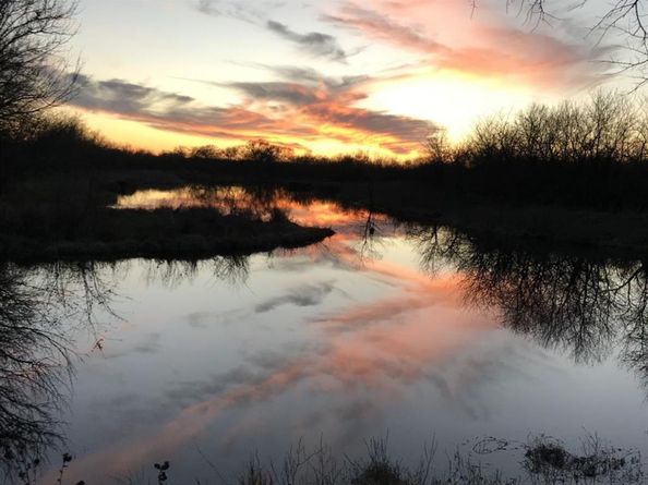 244  Longhorn Trail , Royse City Texas 75189