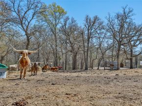 7401  Hilltop Drive , Fort Worth Texas 76108