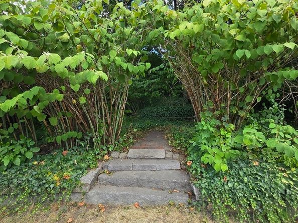 107 Lynnway, Lynn MA 01902