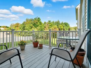 12 Birchbrush Ln 12, Worcester MA 01606