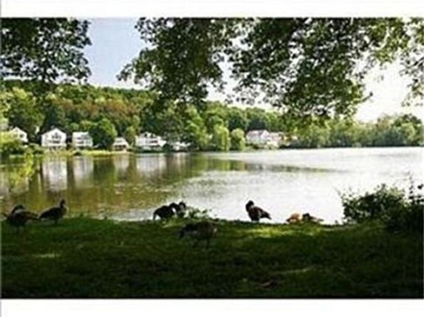 116 Lake Shore Road 4, Boston MA 02135