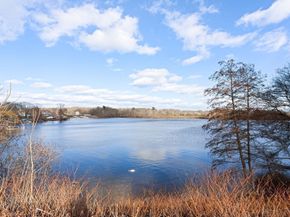 335 Mystic St A, Arlington MA 02474