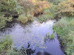 9 Woloski Park, Middleboro MA 02346