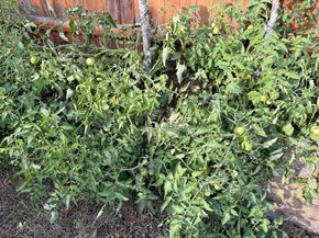 68 Sutcliffe Rd, Lynn MA 01904