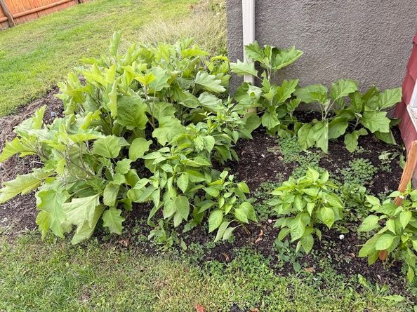 68 Sutcliffe Rd, Lynn MA 01904