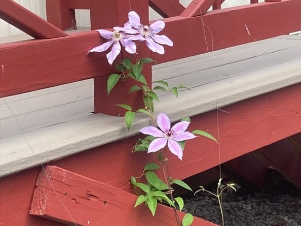 557 Southwest Cutoff 17, Worcester MA 01607