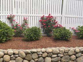24 Cobblestone Ln 7, Worcester MA 01606