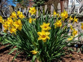 180 Walnut St, Dedham MA 02026