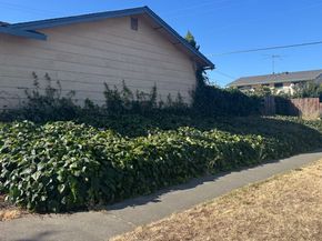 2085 Ashwood Lane, San Jose CA 95132