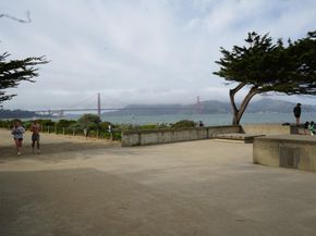 1921 Jefferson Street 205, San Francisco CA 94123