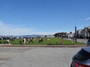 1921 Jefferson Street 205, San Francisco CA 94123