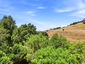 3175 Oak Leaf Court, Morgan Hill CA 95037