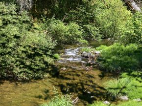Undisclosed Address #ML82050890, Brookdale CA 95007