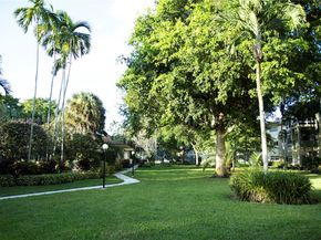 5141 W Oakland Park Blvd 210, Lauderdale Lakes FL 33313