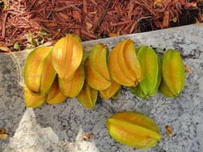 4710 Grant St, Hollywood FL 33021