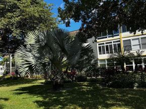 5141 W Oakland Park Blvd 307, Lauderdale Lakes FL 33313