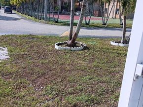 271 W Park Dr 17, Miami FL 33172