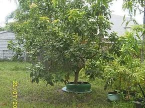 16501 SW 102nd Ct, Miami FL 33157