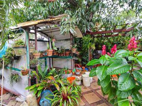 6250 SW 19th St, Miami FL 33155