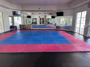 11257 NW 78th St, Doral FL 33178