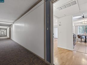 490 N Civic Dr 314, Walnut Creek CA 94596