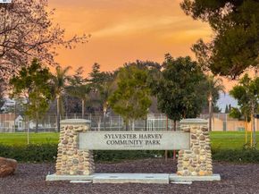 4161 Sunflower Ct, Union City CA 94587