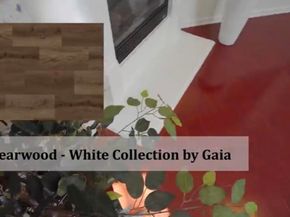 3730 Whitworth Dr, Dublin CA 94568